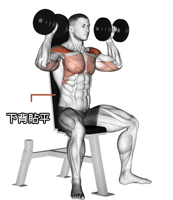 下背貼平