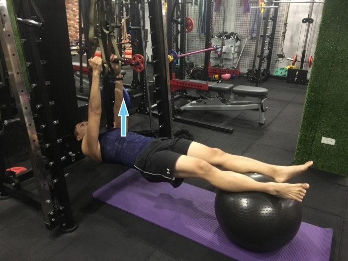 健身房滑雪訓練/Xuan瘋運動教室/GYM/平衡訓練/TRX 倒吊抗力球平衡