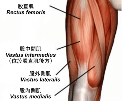 1443086267-147396816_n